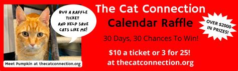 cats protection raffle 2022.